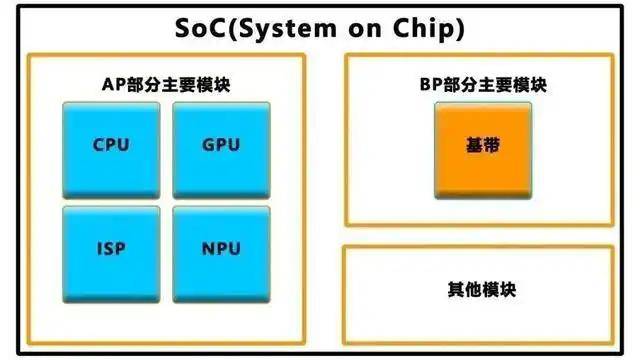 蓝莓外汇平台怎么代理黔西南州菜心畅销粤港澳大湾区